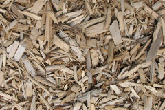 biomass boilers Link